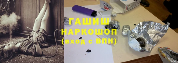 дмт Бородино